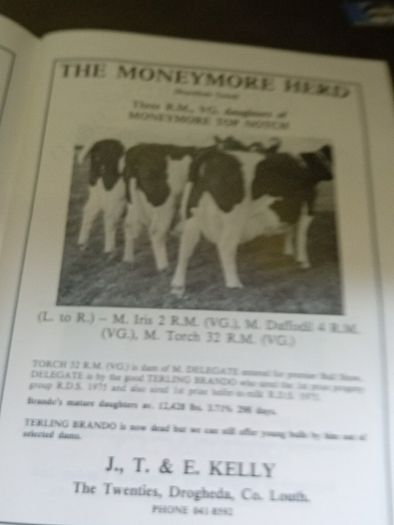 Irish Friesian Breeders 1976 Book