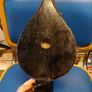 Antique fire bellows Image 2