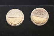 Sterling Silver &amp; Gold Earrings