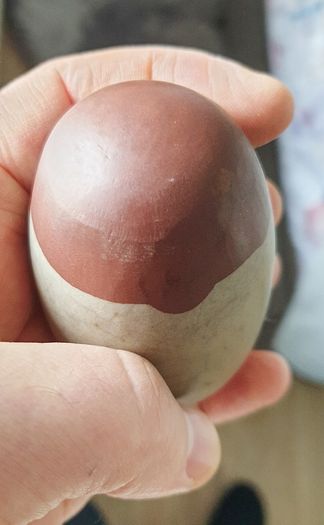 SHIVA LINGAM Real Shiva Lingam, Healing Stone for fertility 437g 95mm