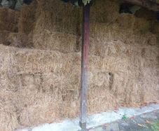 small square hay
