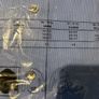 Donald trump signature collection shirt Image 5