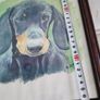 Framed print of dog. Image 4