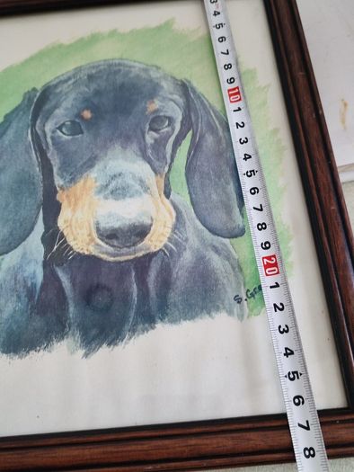Framed print of dog.