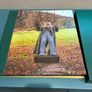 Box Set Real to Reel Garech Browne & Claddagh Records Image 2