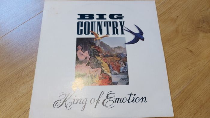 Selection Of 12" Vinyl Singles - All Cleaned And In Great Condition
