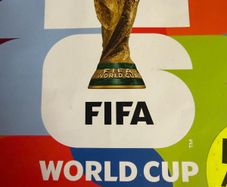 Panini World Cup Stickers Swap