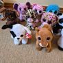 19 Original Ty Beanie Boos, All With Ty Tags And Some With Original Price On Them Image 2