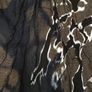 Size 8 Cotton Dress by D. Exterior Italy Image 3