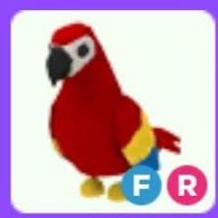 Adopt me pets FR parrot