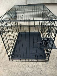 medium dog travel crate