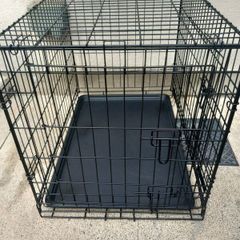 medium dog travel crate