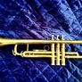 trumpet Selmer Paris Image 3