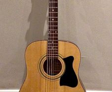 Ibanez