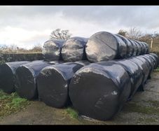 Silage Bales