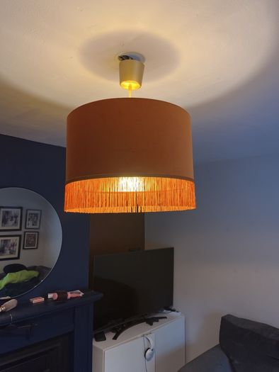 Gorgeous Velvet Burnt Orange Lampshade