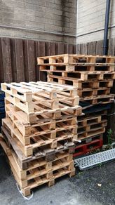 pallets, standard and euro.