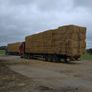 Straw , barley & weaten Image 9