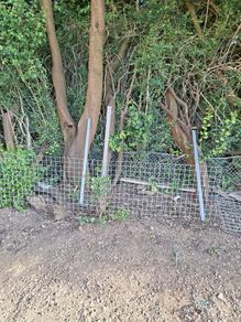 Galvanised Welded Wire Mesh Panels and galvanised steel posts/rails