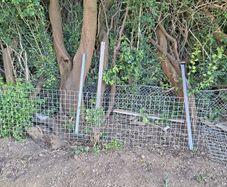Galvanised Welded Wire Mesh Panels and galvanised steel posts/rails