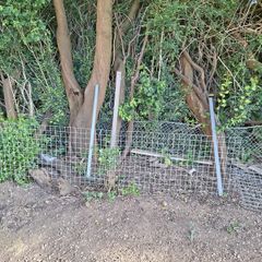 Galvanised Welded Wire Mesh Panels and galvanised steel posts/rails