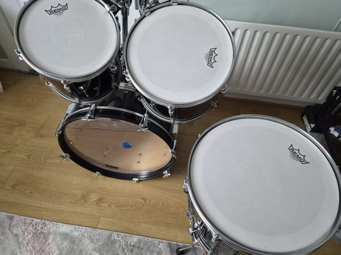 Pearl Pro Export Shell