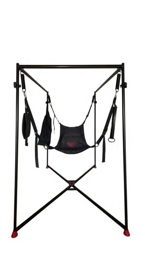 adult swing