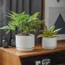 Brand New LE TAUCI 3-pack ceramic flower pots, 11 + 13 + 17 cm diameter small planter set, Image 2