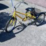 adult tricycle Image 3