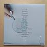 Shugo Tokumaru LP - In Focus? Image 2