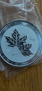 2 oz silver coin