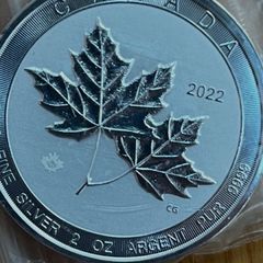 2 oz silver coin