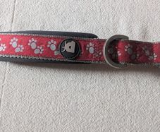 Petface dog collar