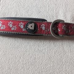 Petface dog collar
