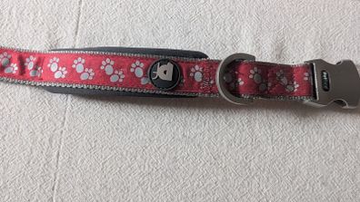 Petface dog collar