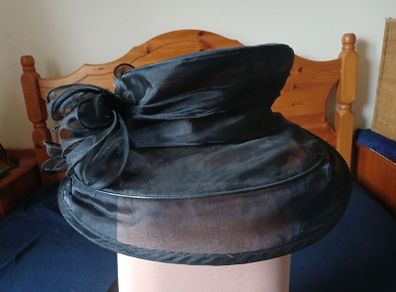 Stunning Light Black Hat