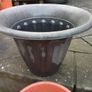 Pot Image 2