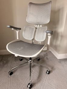 Ergonomic Office Chair With Dual Dynamic Lumbar Support