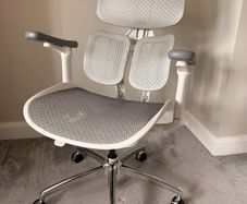 Ergonomic Office Chair With Dual Dynamic Lumbar Support