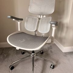 Ergonomic Office Chair With Dual Dynamic Lumbar Support