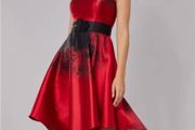 Coast dress (Brand new with tags, was 250 euro)