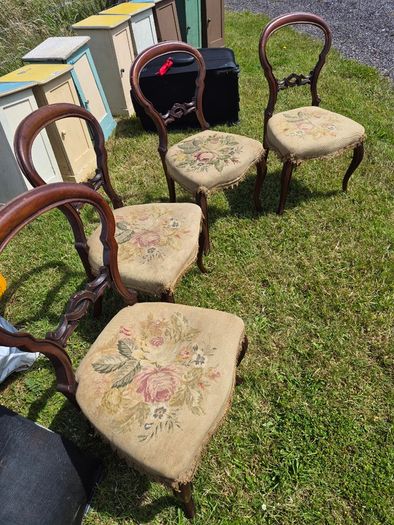 Mahogany Chairs