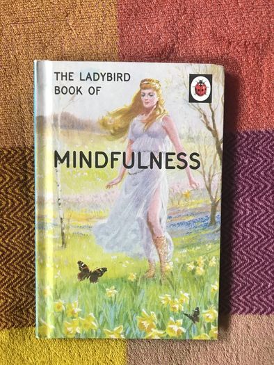 The Ladybird Book of Mindfulness