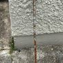 Rare unusual walking stick. Pickle AXE ice AXE. 38in long Image 4