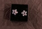Newbridge Earrings