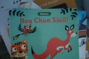 Bog chun Siuil