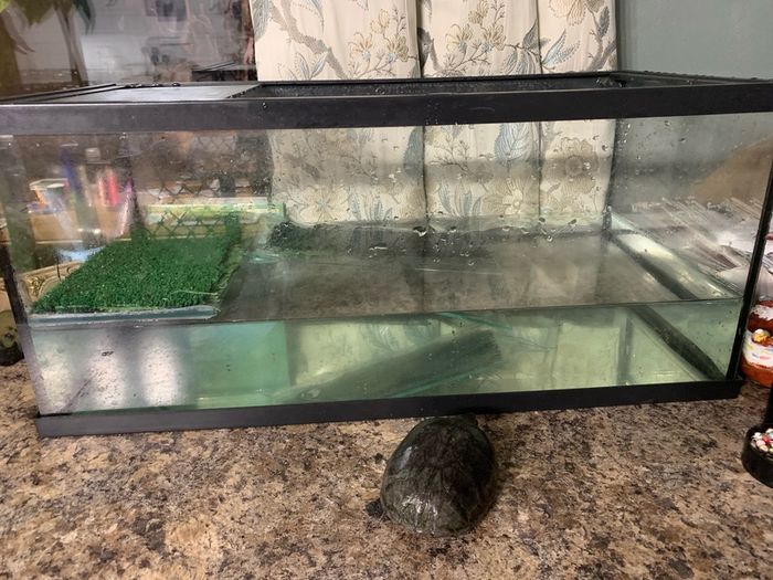 Looking for new home