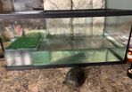 Looking for new home