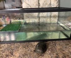 Looking for new home