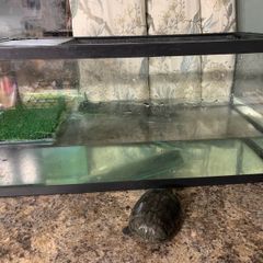 Looking for new home